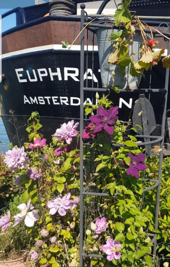 Bed and Breakfast Wheelhouse Euphrate Houseboat Diemerbrug Exteriér fotografie